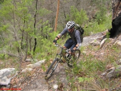 20070114-Coba 319 